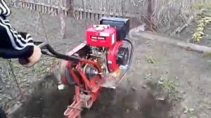 Мотоблок МБ-1 "ЛУЧ" 1988 г.в. культивируем огород