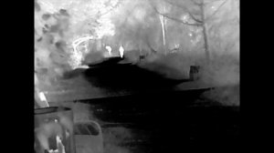 Обзор картинки на 300 метров с тепловизора Аркон Арма 25