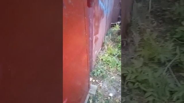 мини пила аккумуляторная цепная смотреть онлайн