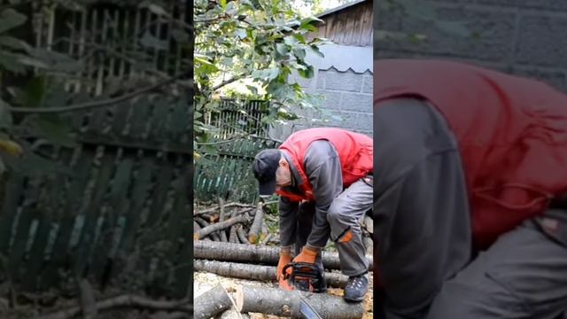 Распил дров в саду на даче старой китайской бензопило? смотреть онлайн