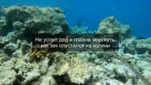 Смотрящий приказал 75-летнему деду снять штаны, но наут