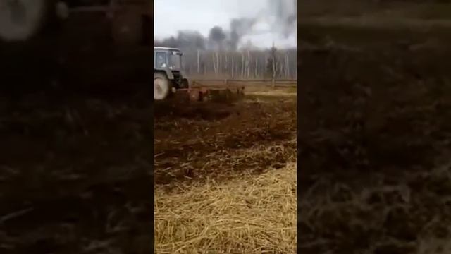 МТЗ-82 обработка площади дискова борона смотреть онлайн