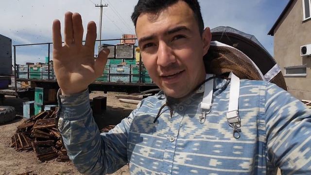 Пчелки, сад, торговый представитель, парашютный спорт)