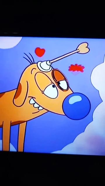 Волк , бодо бородо и котопёс