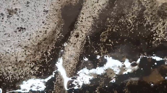 Фав 1024 Ремонт коробки передач.