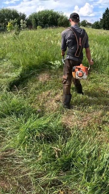 штиль фс 250 #триммер#штиль#STIHL#рекомендации смотреть онлайн