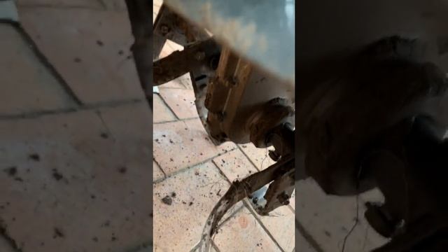 Мотокультиватор Sterwins-2 смотреть онлайн