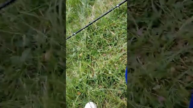 Харьковская область, Снежков у Махмута в гостях 💪 смотреть онлайн