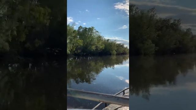 Красота восторг зеркало смотреть онлайн