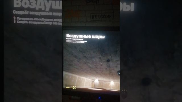 Я впервые играю в  Garus Mod