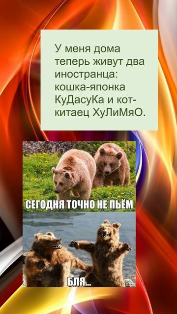 Ну сегодня точно пить не будем 🤣 #мем #угар смотреть онлайн