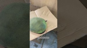 Пропитка воздушного фильтра для мотоцикла. Как не над?