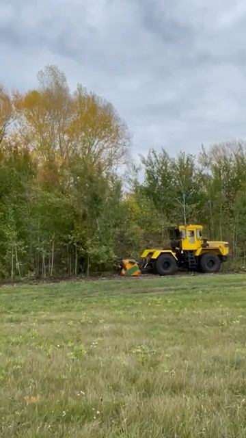 Кировец ПТЗ с мульчером и ротоватором 89261385927 #мульчер # смотреть онлайн