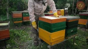 ВЫВОД КАЧЕСТВЕННЫХ МАТОК