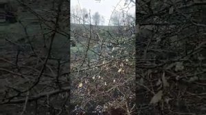 Штурмовики 177 гвардейского полка морской пехоты каспи