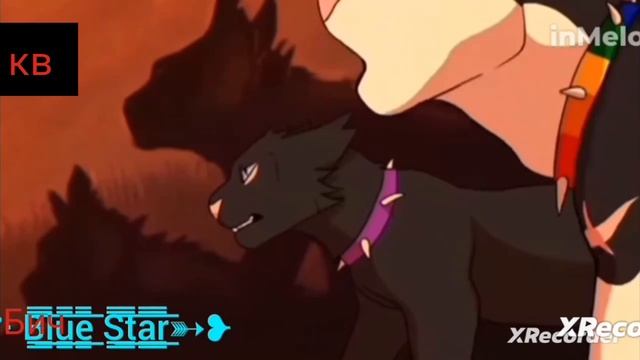 Бич клип смотреть онлайн