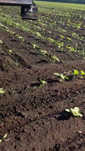 культиватор крн 8.4 #рекомендации