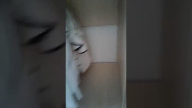 Что в моём шкафу???