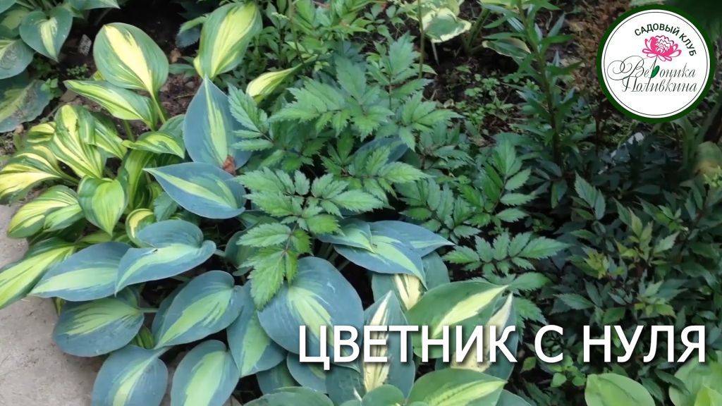 Как сделать цветник или грядку не копая почву смотреть онлайн