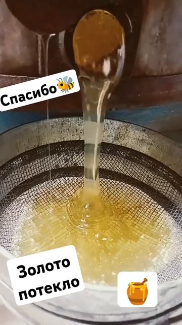 деревня, медок