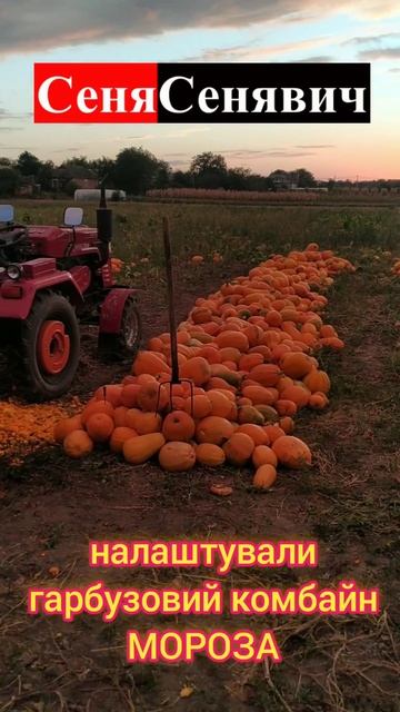 Підготували комбайн МОРОЗА до роботи #сільськежиття #? смотреть онлайн