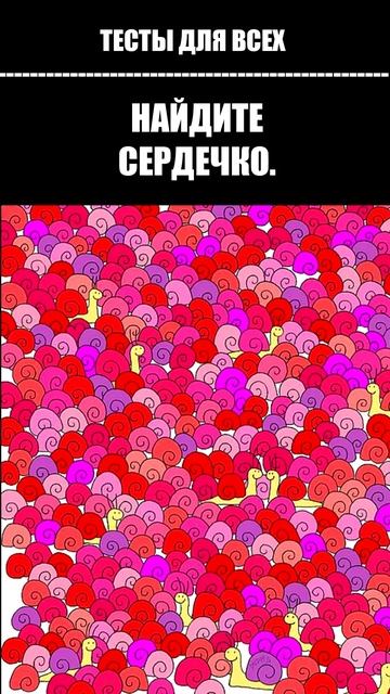 ТЕСТ НА ВНИМАТЕЛЬНОСТЬ. Среди улиток попытайтесь найт смотреть онлайн