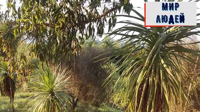 Потеряв пациента на хирургическом столе врач внезапн? смотреть онлайн