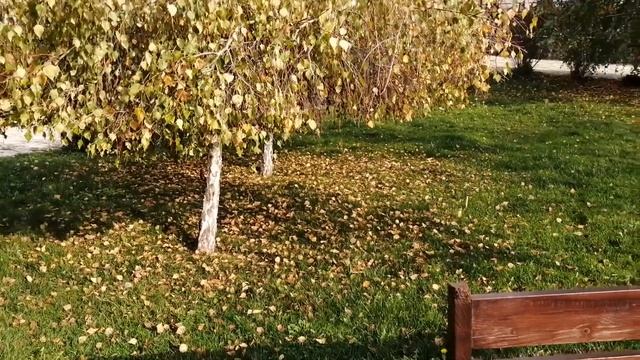 Шато Медово смотреть онлайн