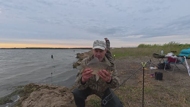 Поклёвка крупного карася. смотреть онлайн