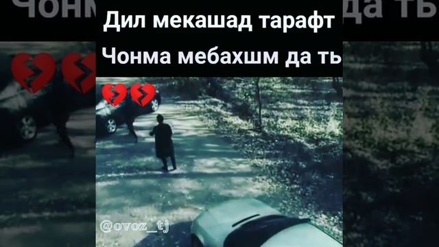 Дил Мекаша Тарафт клипы ошики бдрон дасгири кнен баро даро смотреть онлайн