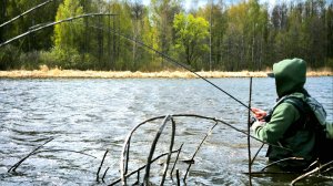 ДОЛГОЖДАННАЯ РЫБАЛКА на Спиннинг 2025. НЕ ЗРЯ ЗАБРАЛИСЬ В ЭТО БОЛОТО. Ловля хищника, щука, окунь.