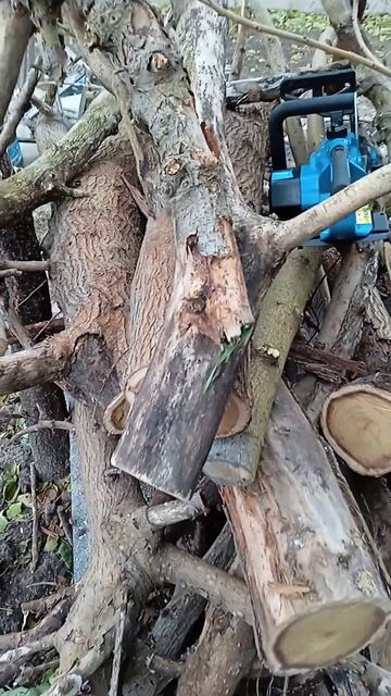 Makita(Румынская сборка)вот столько нарезала дров с одно? смотреть онлайн