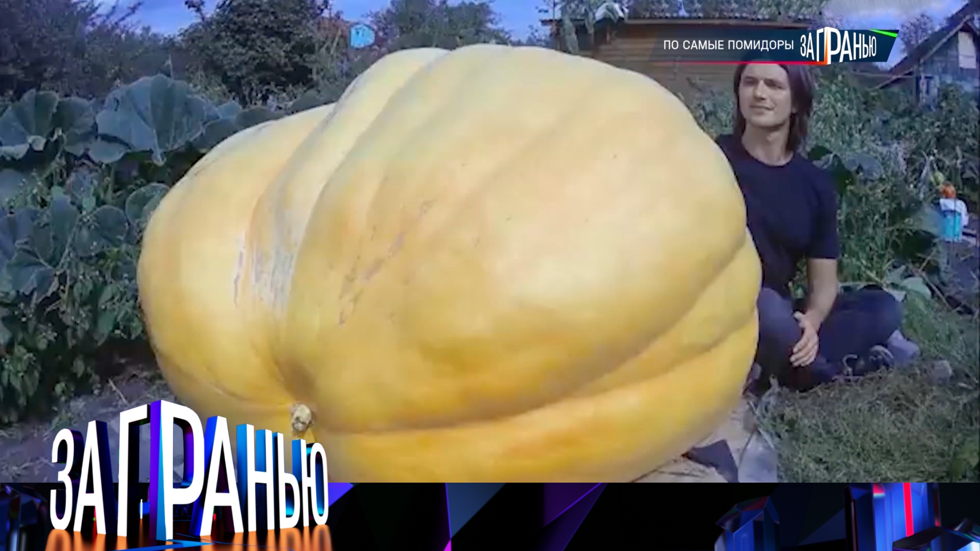 За гранью: По самые помидоры | Выпуск от 19 мая 2025 года