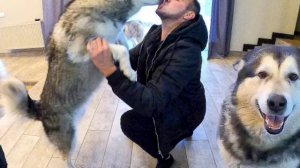 Роки майки и лекси короткое ведео