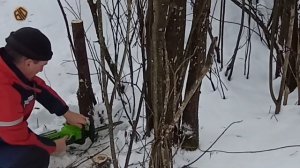 Цепная пила GREENWORKS GD24CS30