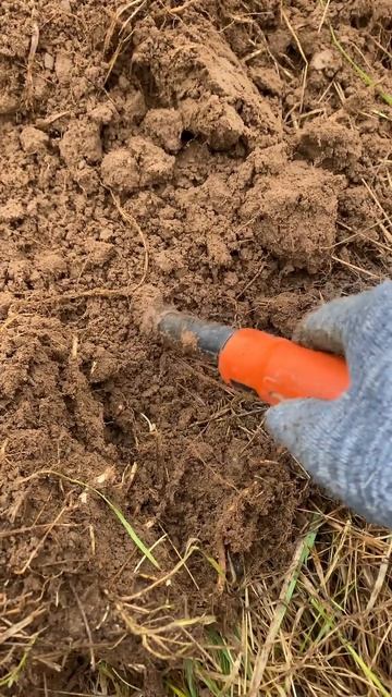 Находка ч.355🔥🔥 #леснойскобарь#2024 #коп#металлоискател смотреть онлайн