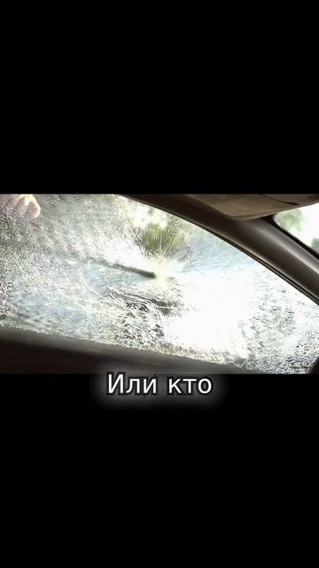 Тебе точно не нужно платить за КАСКО! смотреть онлайн