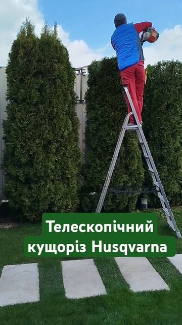 Стрижка туй. Телескопічний бензиновий кущоріз. Husqvarna. #