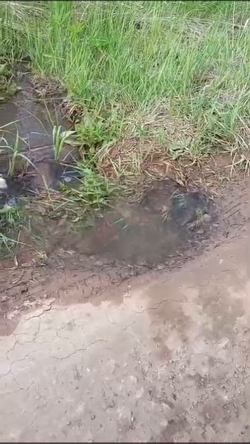 Ремонт водовода Березовая Грива СНТ 