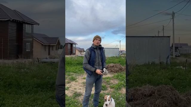 Блог - Влог Корм для щенка смотреть онлайн