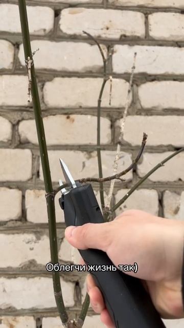Автоматический секатор! 🔥 #озон #товарыozon #покупки #на смотреть онлайн