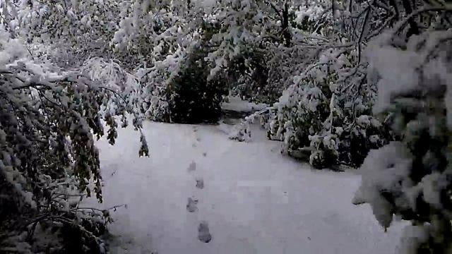 Солнечная Молдавия в конце апреля