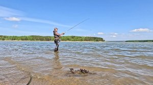 Береговой спиннинг. Отводной поводок. Окунь. Рыбалка по разным местам НСО
