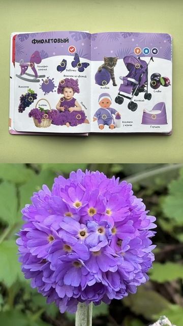 Давайте вместе поиграем в загадки. Мы начнем! смотреть онлайн