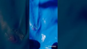 Как я заклеила надувной матрас жидкой латкой