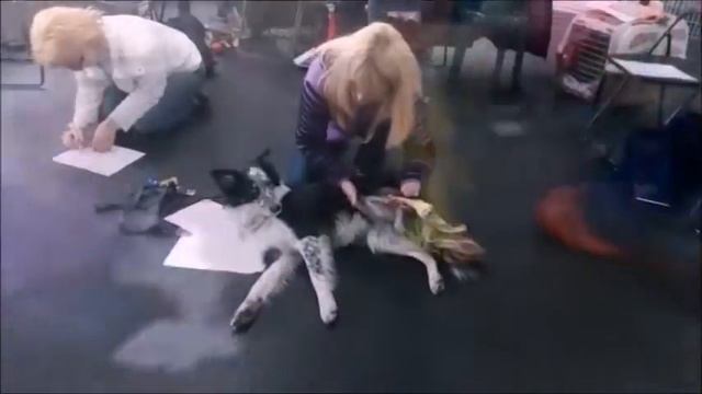 Семинар 25.03.2017г