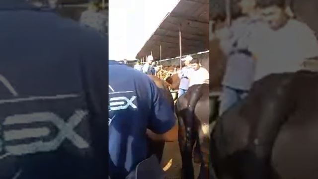 🇹🇯  в прямом эфире!MOLBOZOR BOZOR МОЛБОЗОРИ ХУЧАНД ХУДЖАНД к