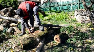 #stihl Бензопила глохнет при нагреве