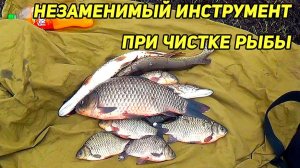 НЕЗАМЕНИМЫЙ ИНСТРУМЕНТ при чистке рыбы