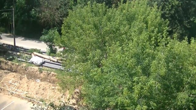 ЖАРА ИЮЛЬ Вербилки Россия В гости прилетела ласточка ими стриж 04.07.2024 смотреть онлайн